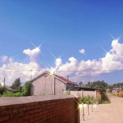 幸运彩票app下载